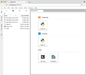 Jupyter-lab-window.png