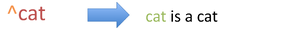 Basic-regular-expression-square-brackets-carat.png