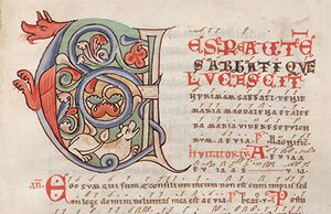 Illuminated monograms from an medieval Austria manuscript.