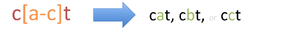 Basic-regular-expression-square-brackets-range.png