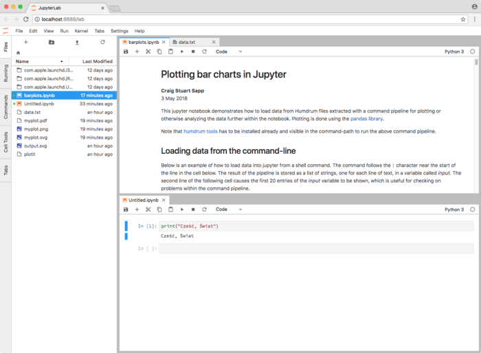 Jupyterlab-tabbed-workspace.png