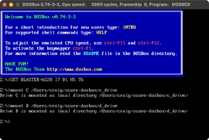 Dosbox-mount-auto.png